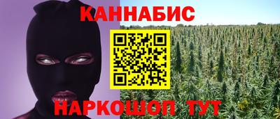 индика Славгород