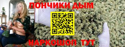 стаф Сланцы