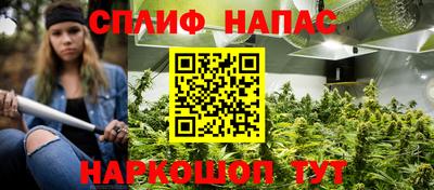 стаф Сланцы