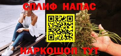 индика Славгород