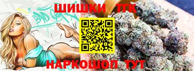 индика Славгород