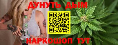 индика Славгород