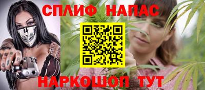 стаф Сланцы