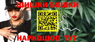 стаф Сланцы