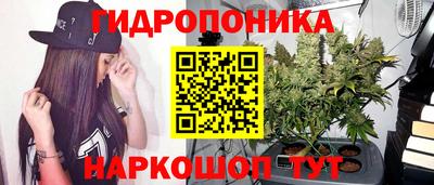 индика Славгород
