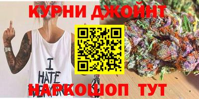индика Славгород