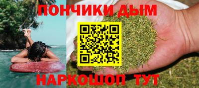 индика Славгород