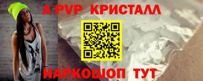 стаф Сланцы