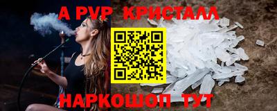 стаф Сланцы