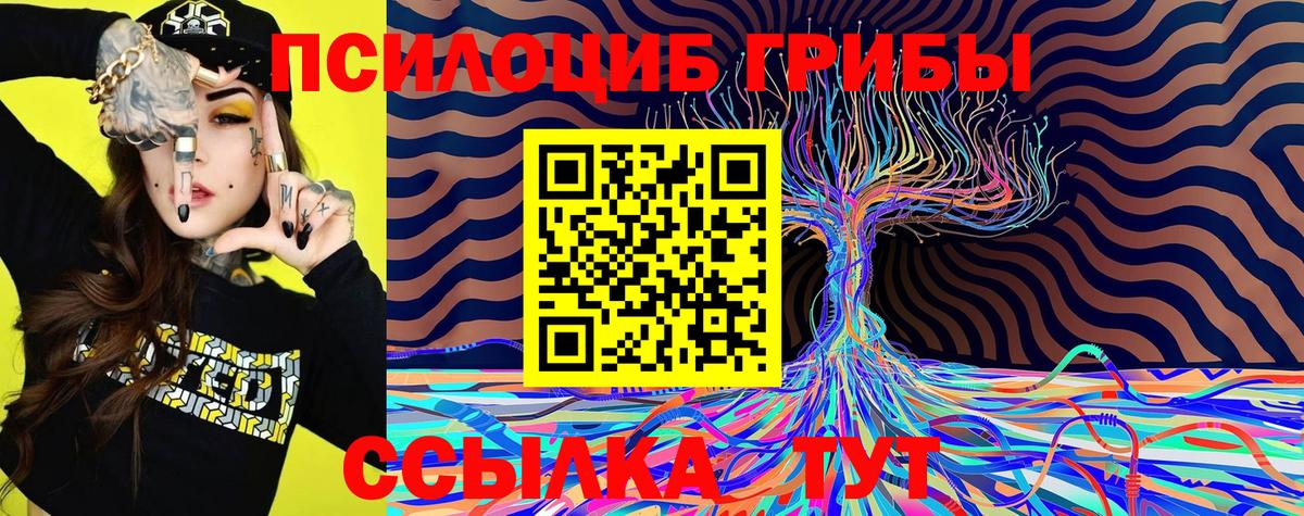 Галлюциногенные грибы Cubensis  Галлюциногенные грибы ЛСД  Вход с VPN  Новодвинск 